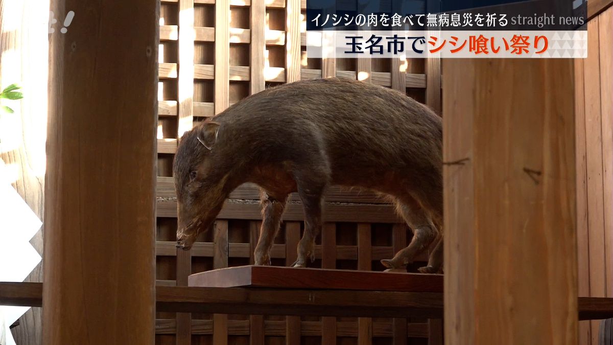 イノシシの肉を食べて無病息災を祈る｢シシ喰い祭り｣玉名市