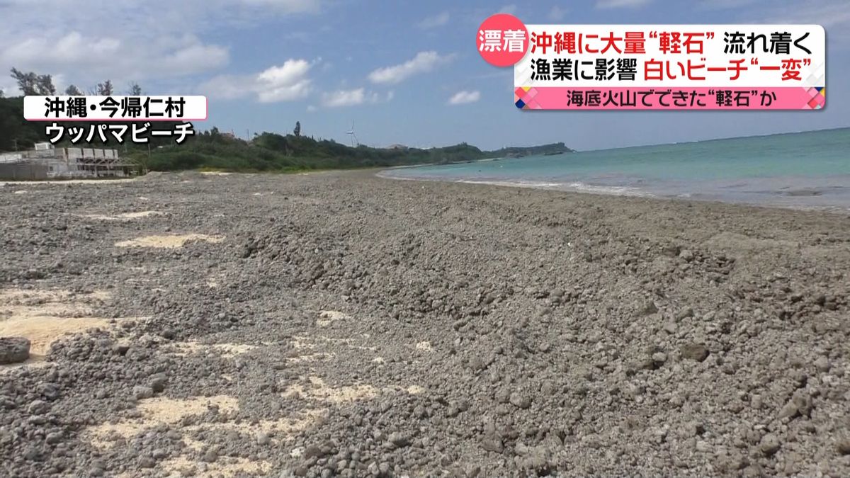 沖縄に大量“軽石”…真っ白な砂浜が灰色に