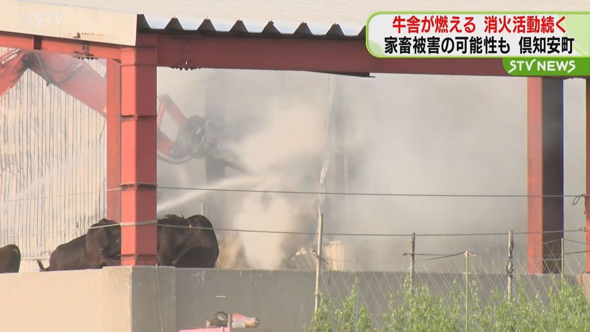 「黒い煙が上がっている」牧場の牛舎で火事　消火活動続く…家畜被害の可能性も　北海道倶知安町