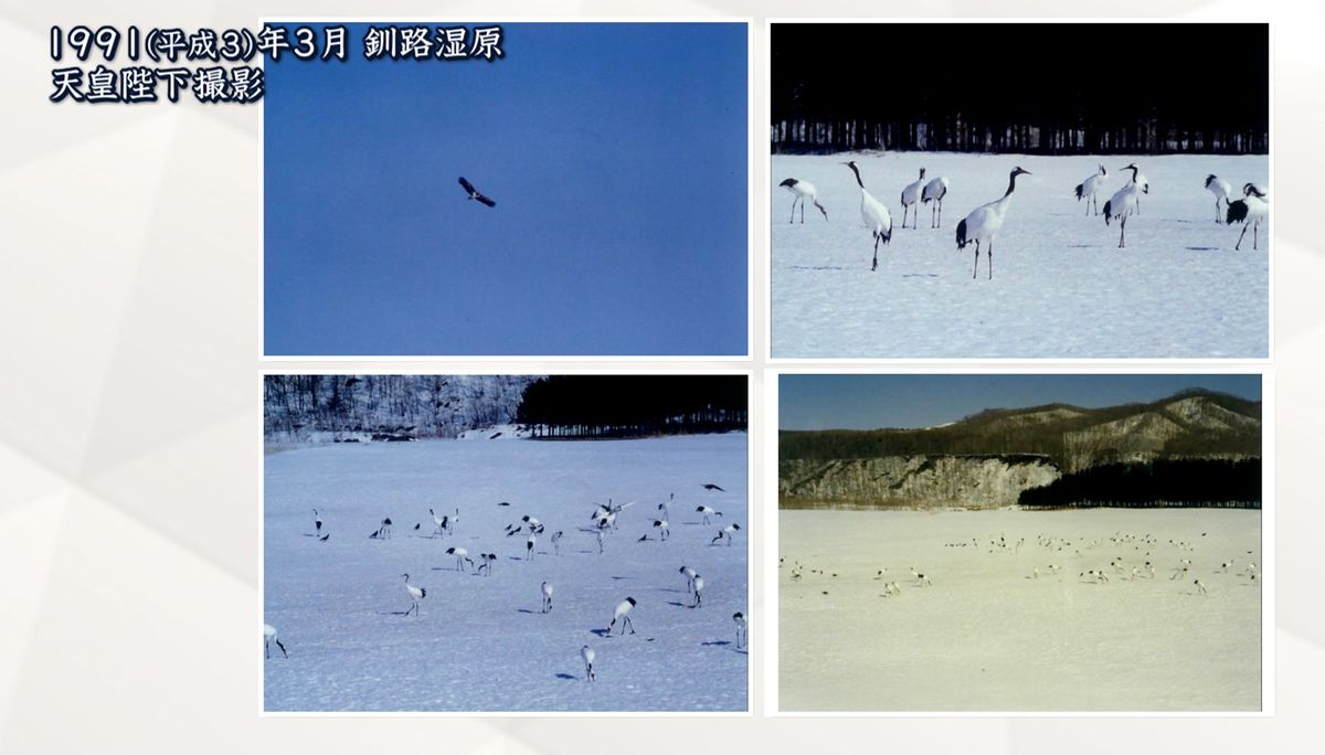 1991（平成3）年3月　釧路湿原　天皇陛下撮影