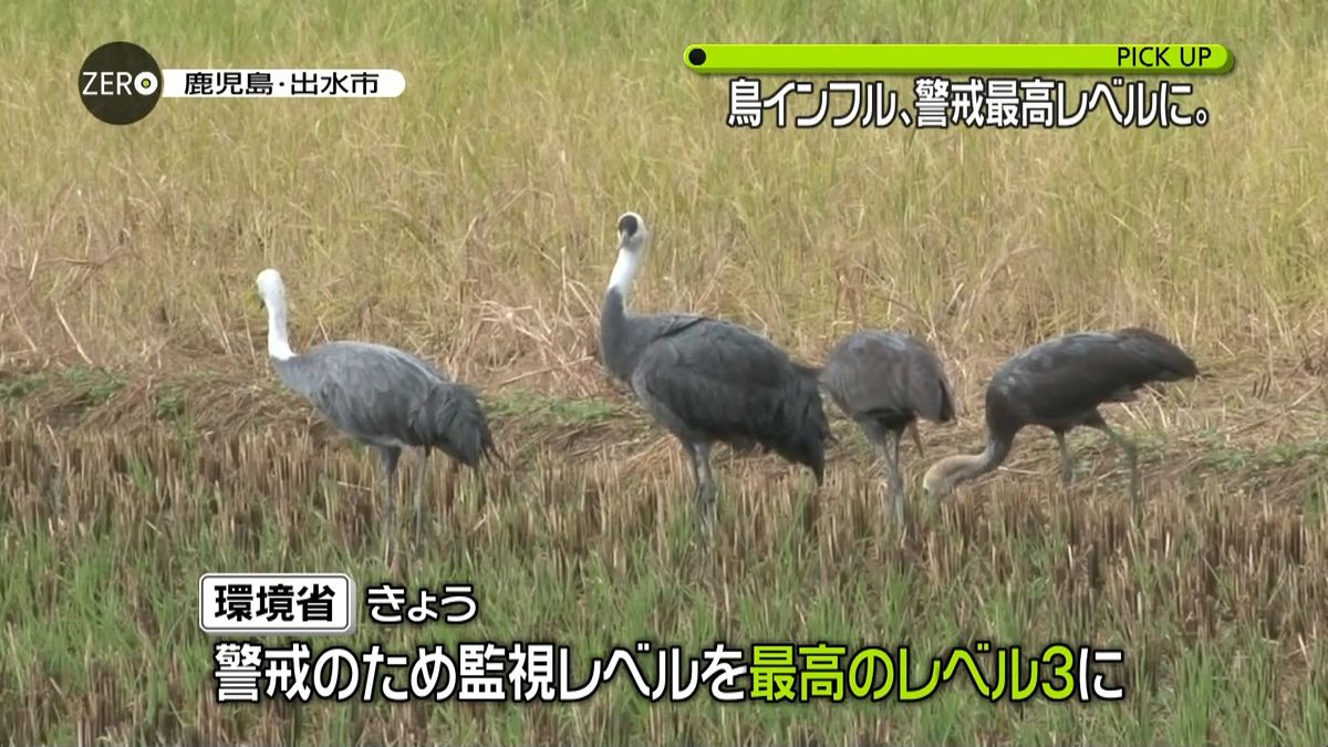 秋田などで鳥インフル　警戒最高レベルに