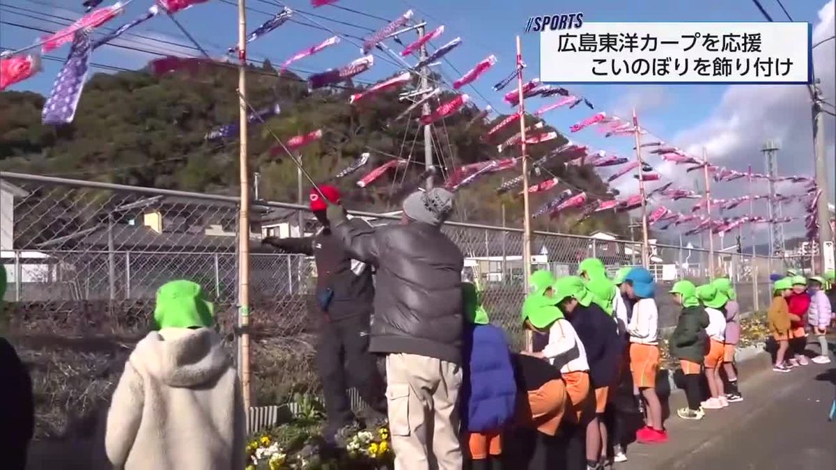 広島東洋カープのキャンプインを前に　こどもたちも一緒にこいのぼりの飾り付け