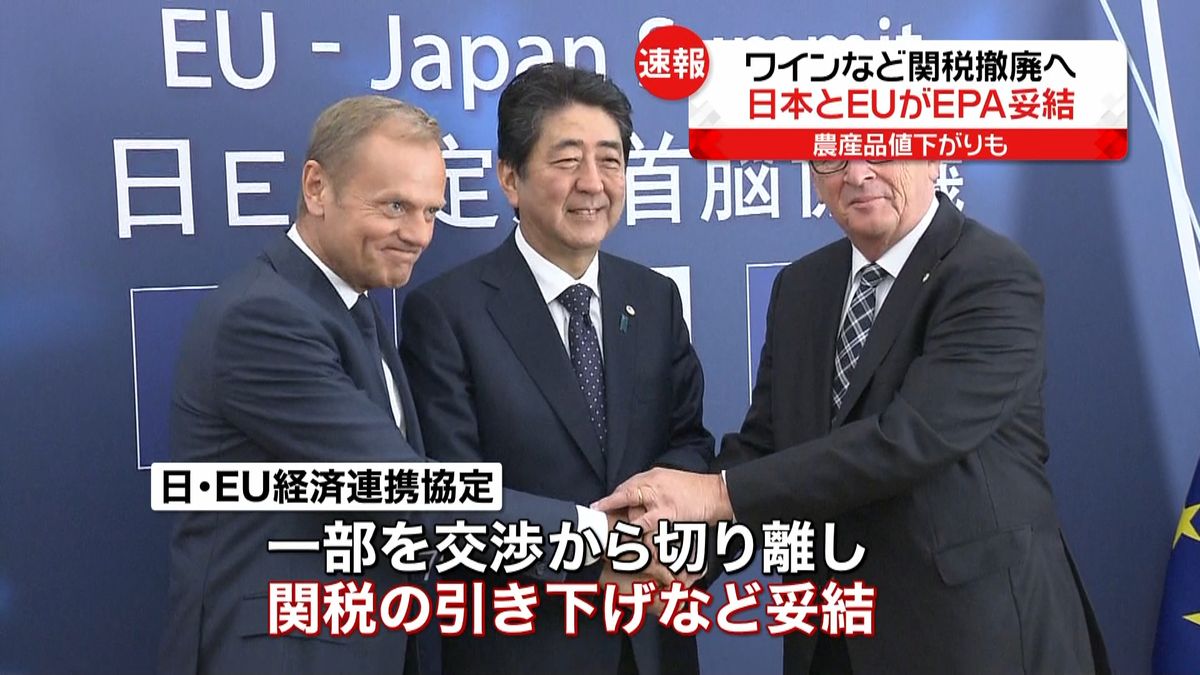 日本とＥＵ、経済連携協定交渉妥結