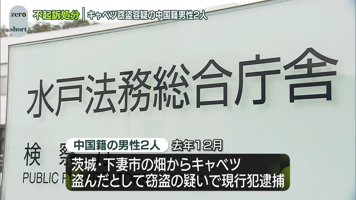 畑からキャベツ盗んだとして現行犯逮捕　中国籍の男性2人を不起訴処分　水戸地検下妻支部