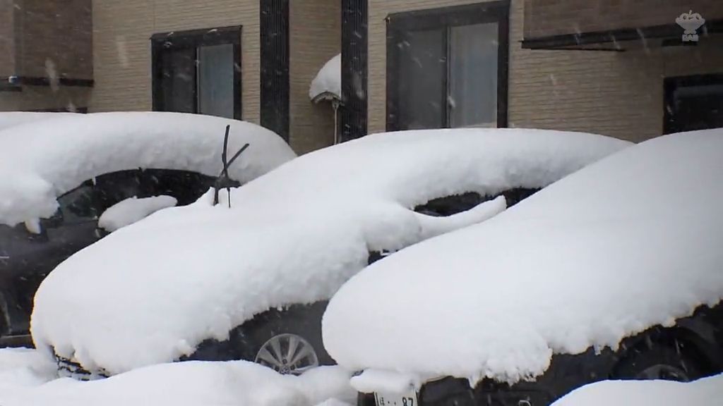 積雪が平年比の3倍　雪が降り続く青森市　今季初の60cm超に