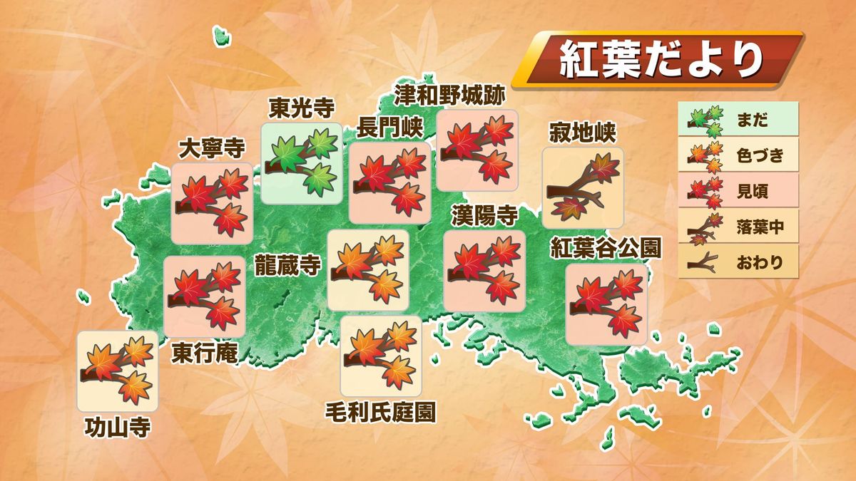 紅葉だより　14日(火)時点