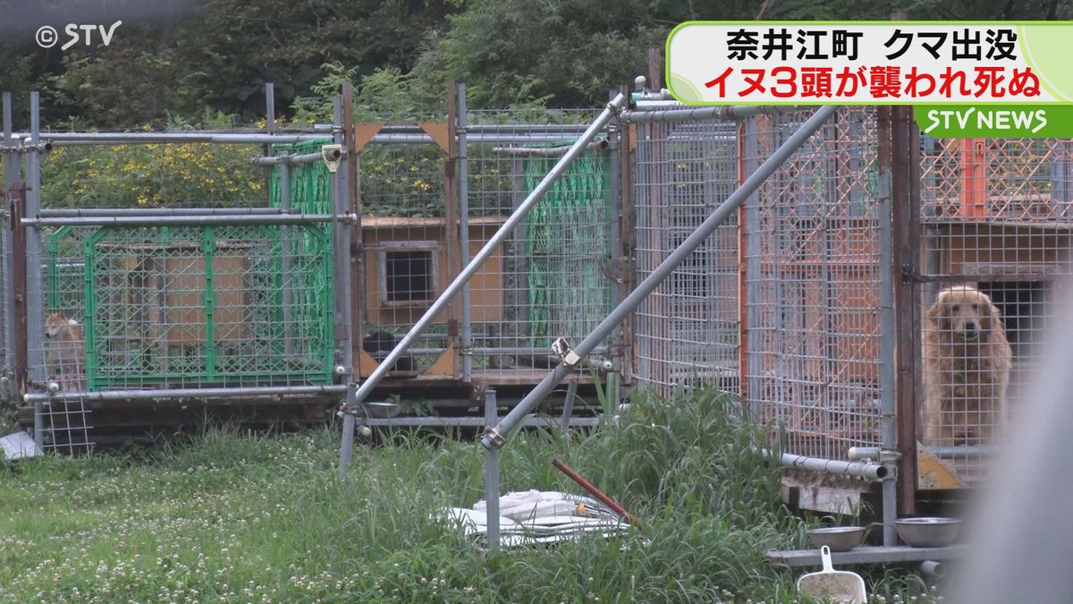 牙が刺さったような跡が…ブリーダー施設でイヌ３頭がクマに襲われ死ぬ　北海道奈井江町