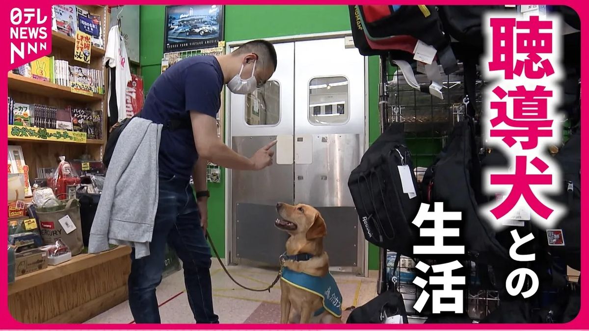 【密着】生活の“音”をサポート　聴導犬と飼い主の出会いと別れ『every.特集』