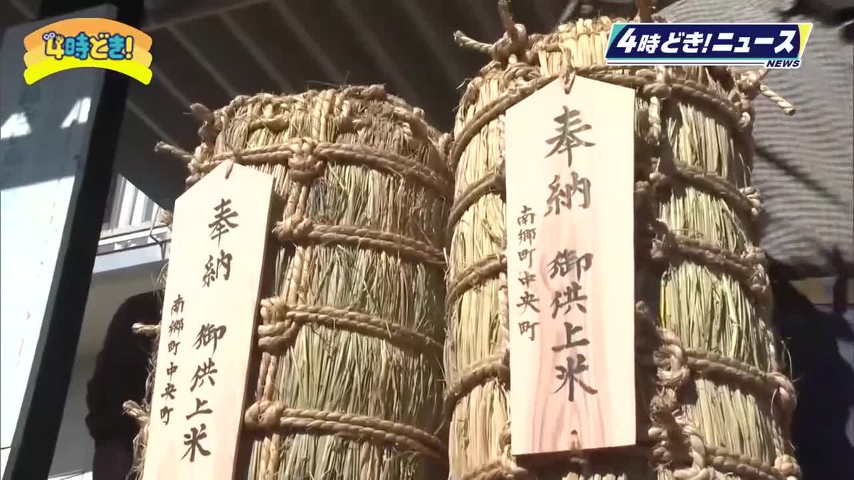 日南市南郷町に350年続く行事　これからも…奉納米の俵づくり