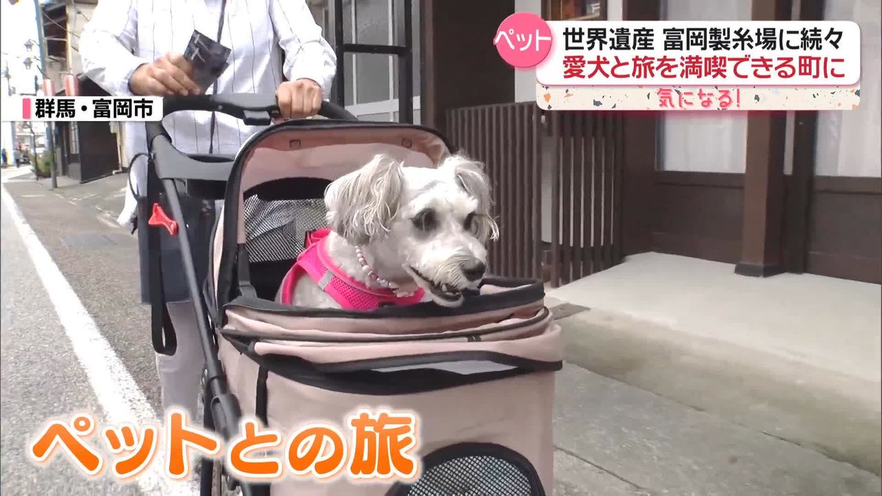 旅行できる ストア ペット