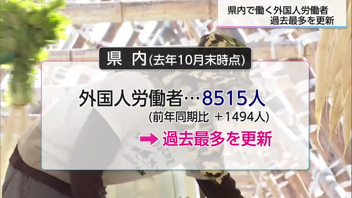 「人手不足顕著　今後も増加」宮崎県内の外国人労働者8515人　過去最多を更新