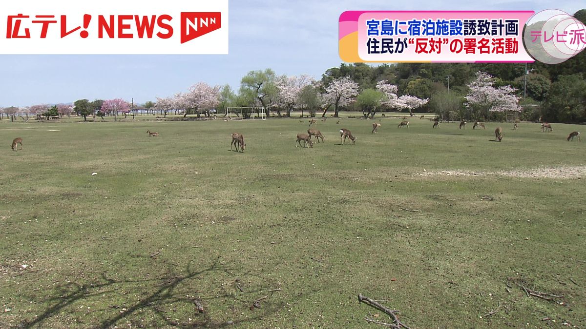 宮島に宿泊施設誘致計画  住民が「反対」の署名活動　広島県廿日市市