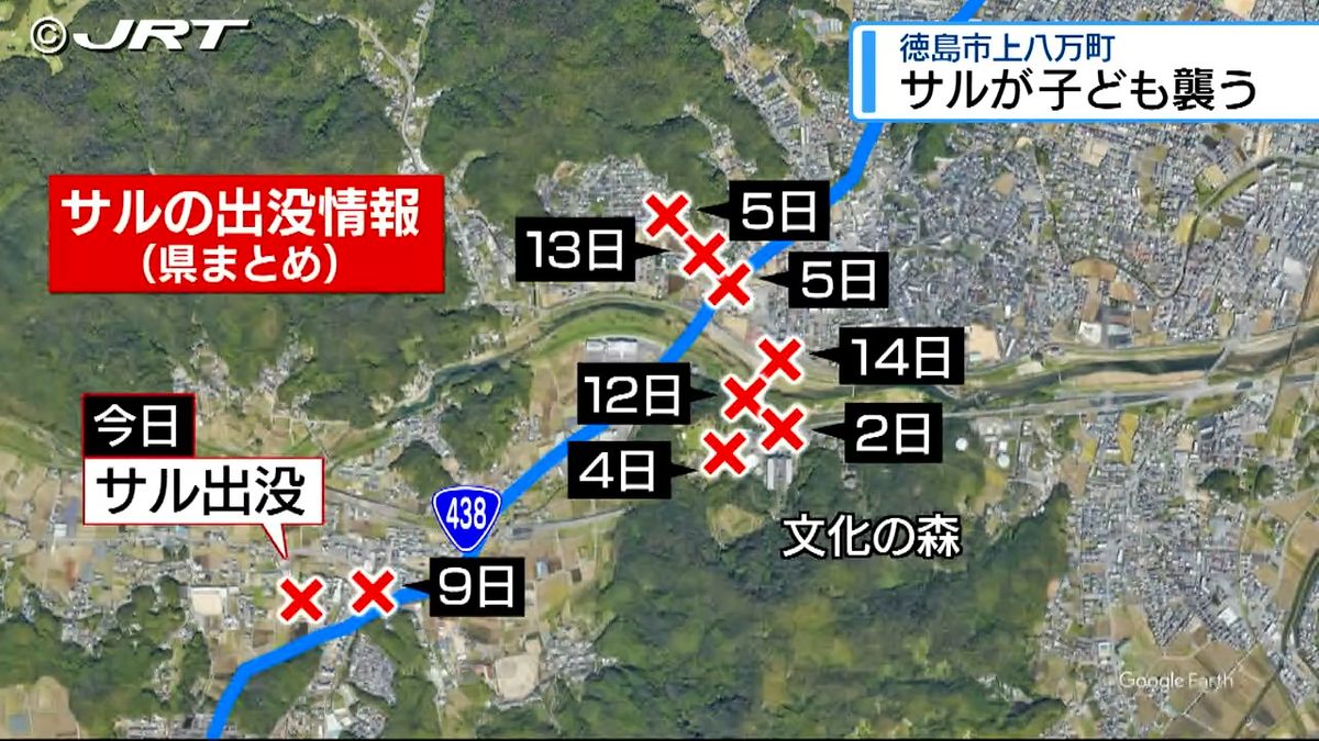 徳島市内で登校途中の児童に背後からサルが・・・児童にケガなし【徳島】