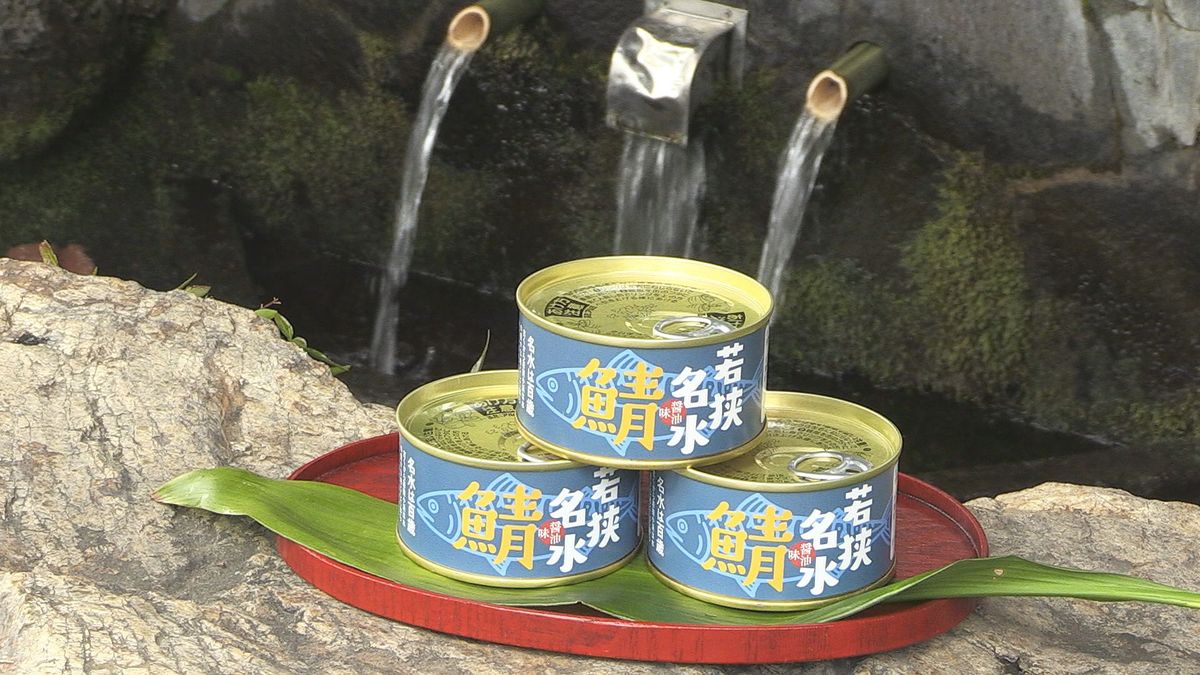 雲城水を使った鯖缶発売　収益は湧き水の保全活動に　平成の名水百選　小浜市一番町振興会