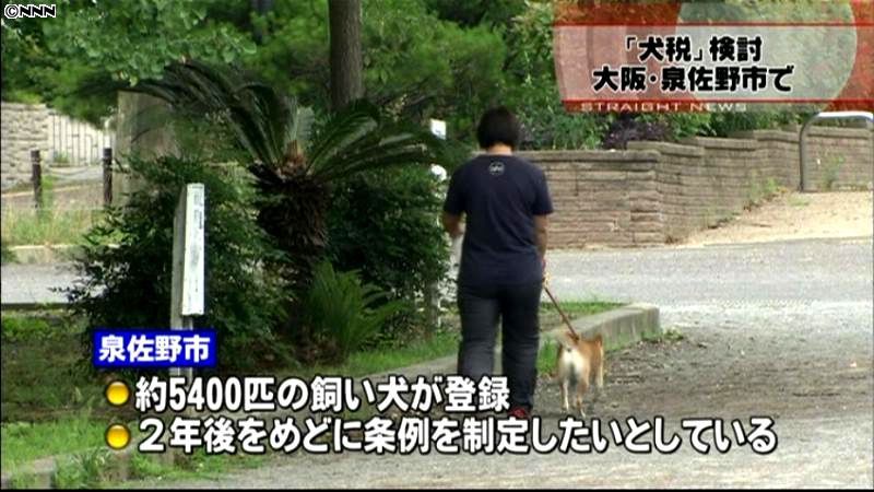 大阪・泉佐野市長、「飼い犬税」の導入検討