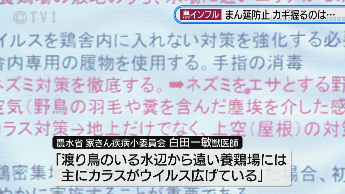 鳥インフルまん延防止強化会議　不織布や爆音でカラスからの感染対策を　岩手