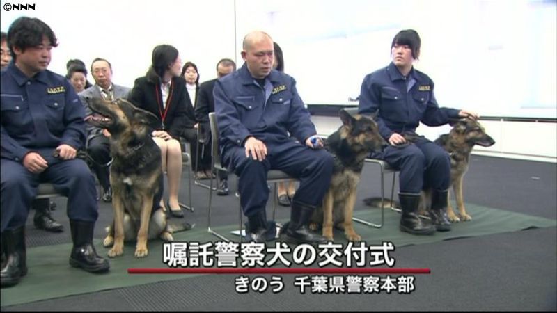 嘱託警察犬の交付式、６０頭が捜査へ 千葉｜日テレNEWS NNN
