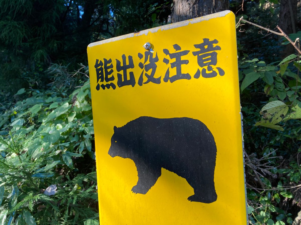 「クマが歩いている」保育園職員が公園内で目撃 警察が注意呼びかけ＜宮城・加美町＞