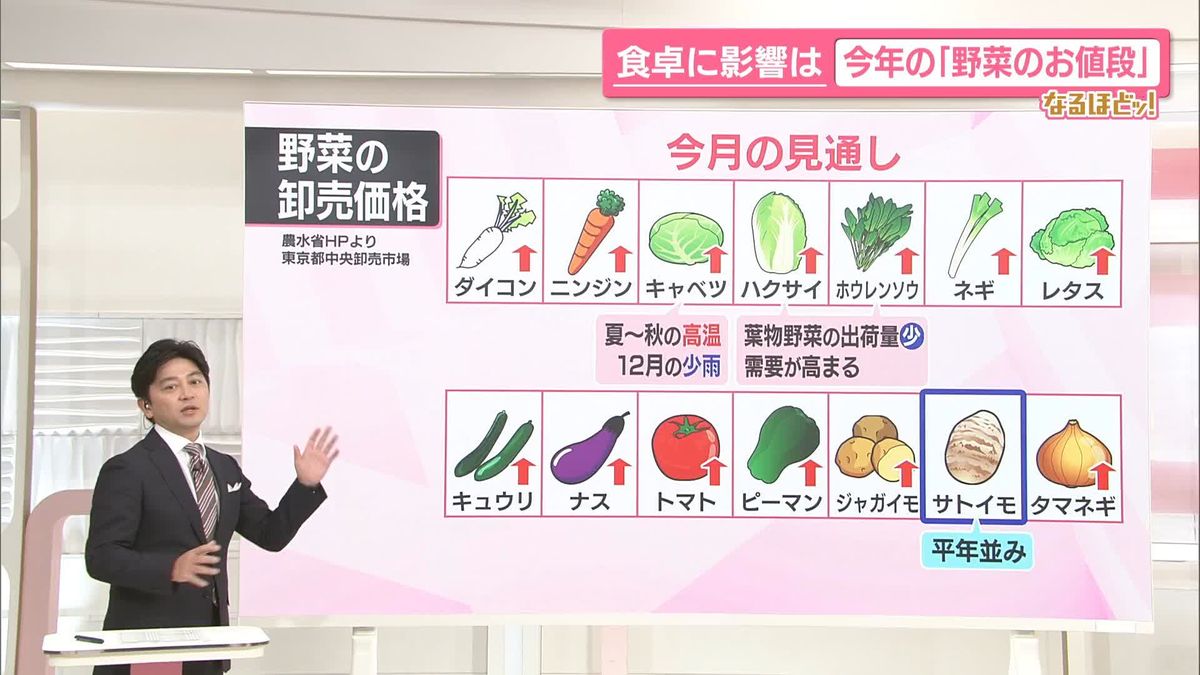 【なるほどッ!】食卓に影響は…今年の「野菜のお値段」　安くなる時期・工夫は？