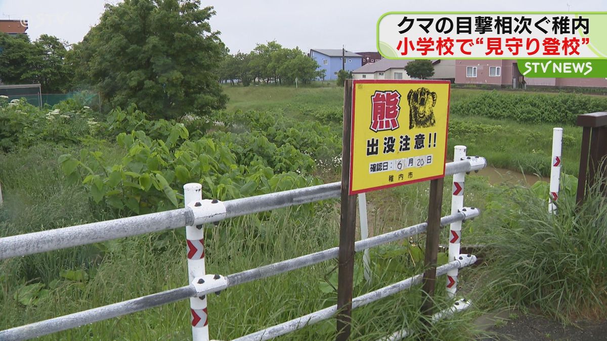 ６月だけで１０件超　クマの目撃相次ぐ　小学校で見守り登校　周辺調査も痕跡なし　稚内市