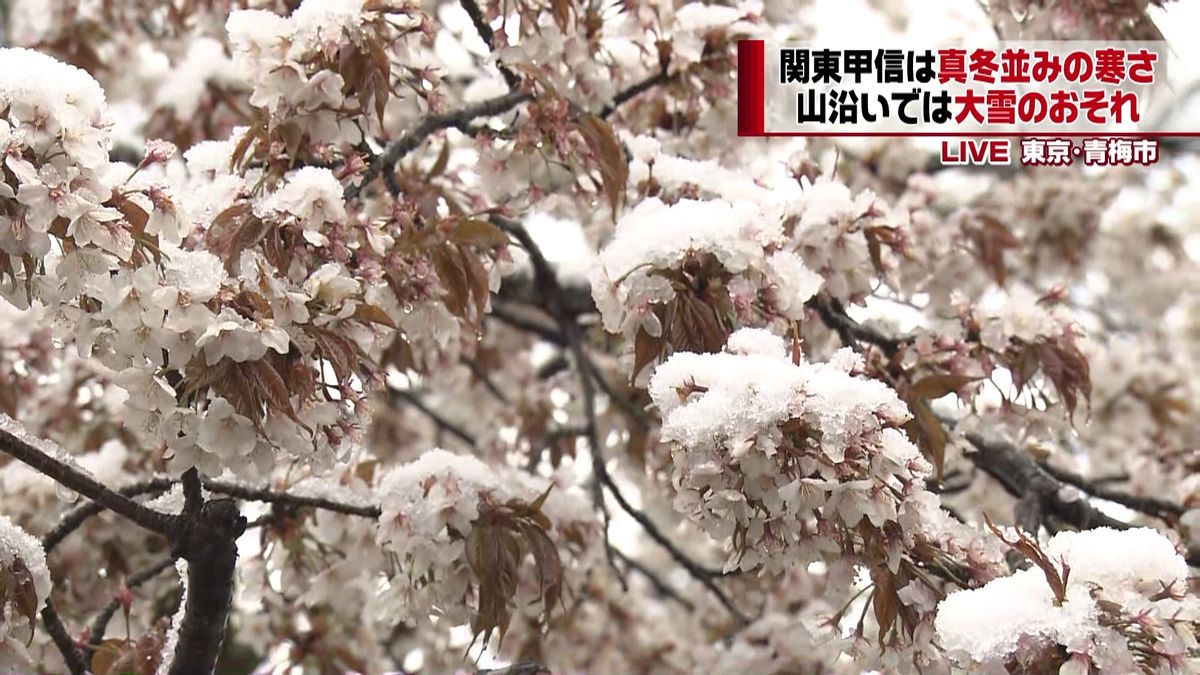 関東甲信で真冬並み　山沿いでは大雪の恐れ