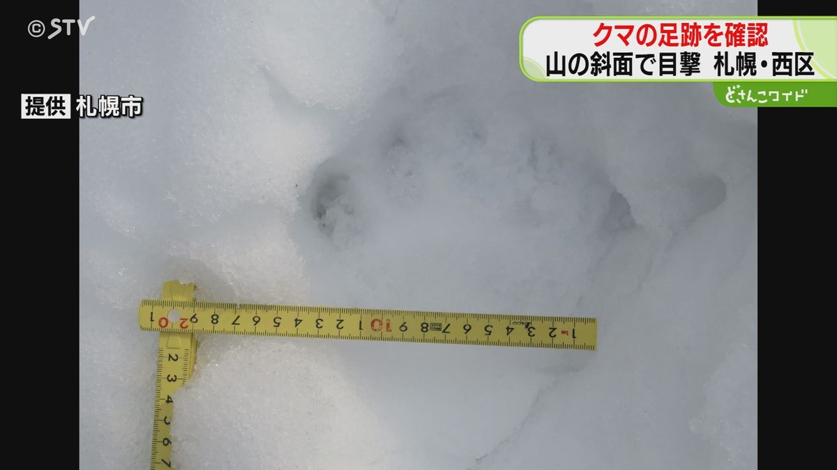 ついにこの季節が始まる…　札幌でことし初のクマ目撃　雪の上には足跡くっきり　西区小別沢