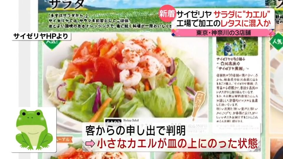 サイゼリヤ…サラダに“カエル”　東京・神奈川の3店舗　工場加工のレタスに混入か