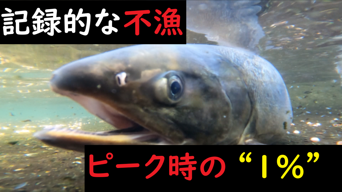 「サケ事業の火が消滅してしまう…」漁獲量はピーク時の“約1％”　自助努力の域を超えていると増殖事業推進を国に強く働きかけるよう青森県漁連が要望