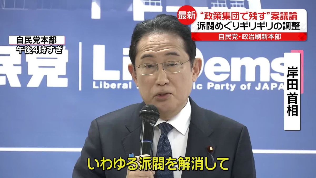 派閥は“政策集団で残す”案議論　自民党・政治刷新本部