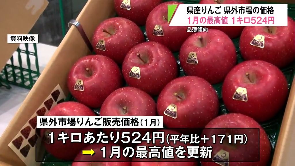 去年産青森りんごの販売価格「平年比171円・48％増」で1月の過去最高値に　要因は？