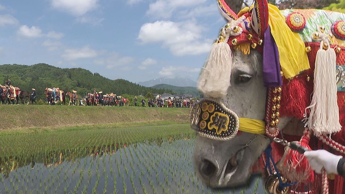 「チャグチャグ馬コ」存続を　クラウドファンディング始まる