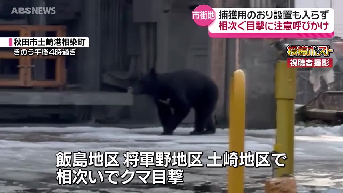 13日も続く秋田市でのクマ目撃　引き続き注意呼びかけ