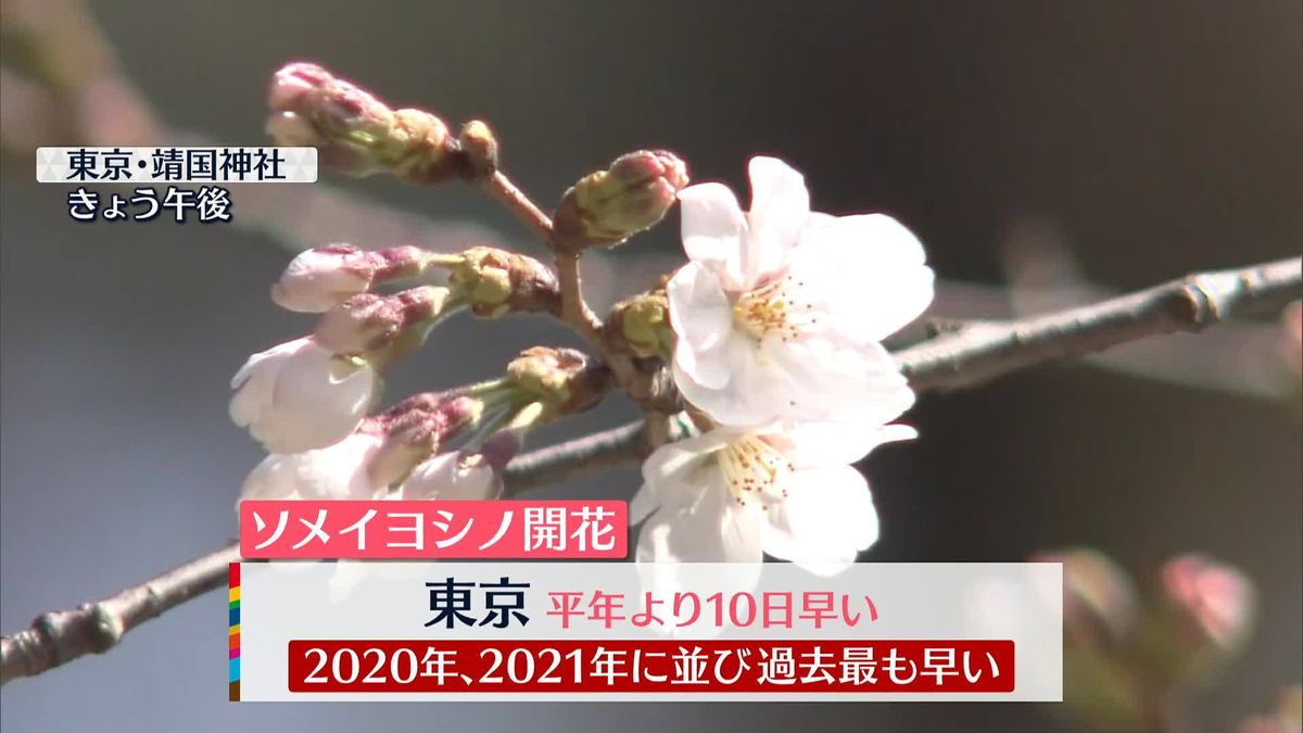【天気】東京で桜開花発表　あす以降も続々と桜開花の便りが届きそう
