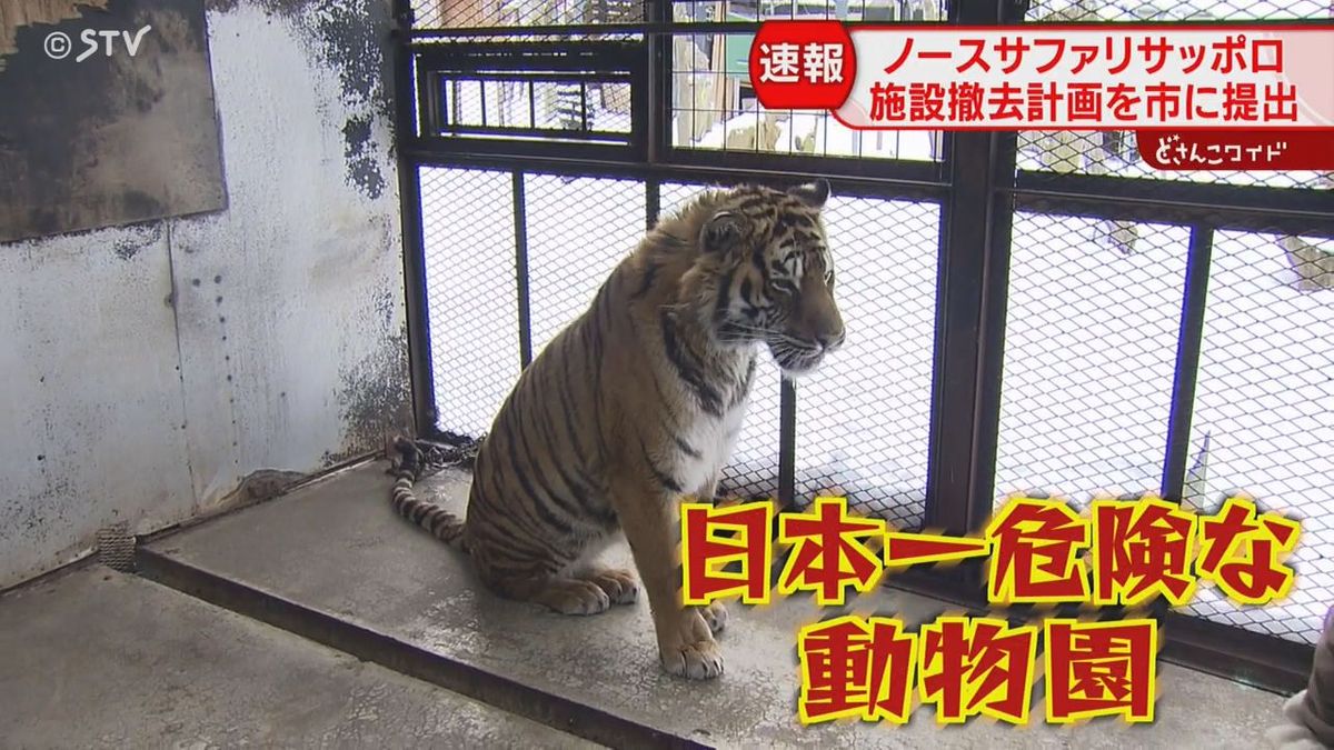 日本一危険な動物園「ノースサファリ」撤去計画提出　違法建築・動物大量死発覚…膠着20年の末