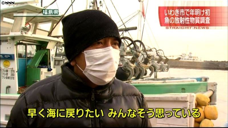 福島・いわき市で魚の放射性物質調査