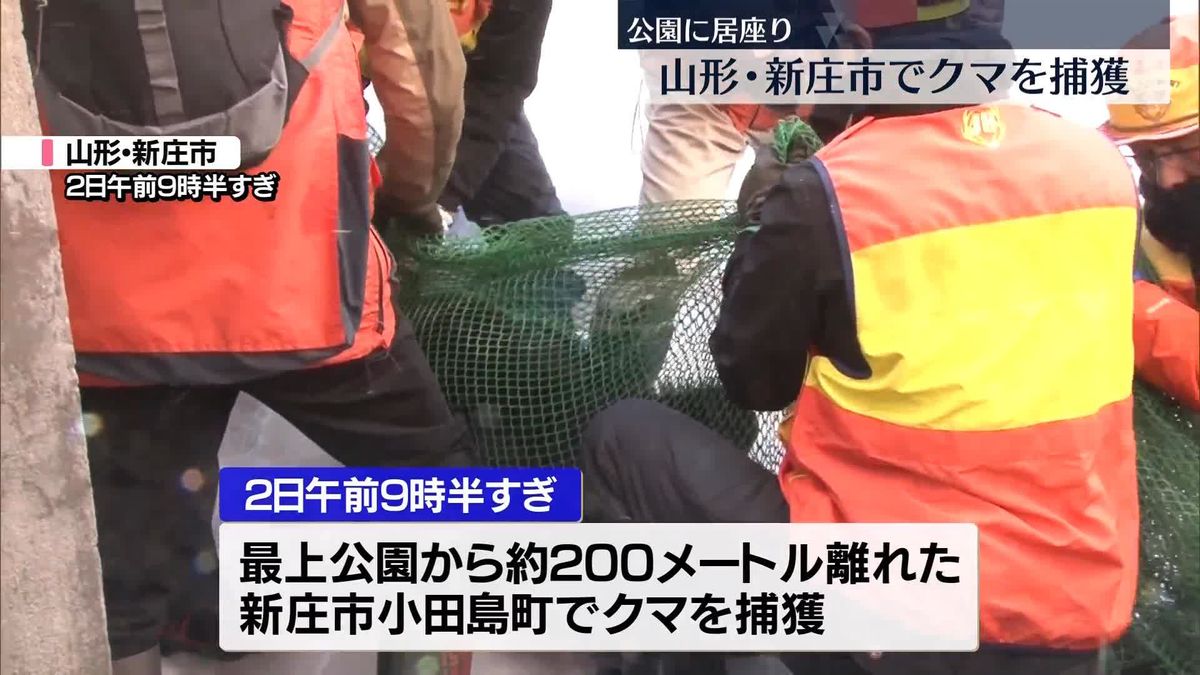 新庄市中心部に出没のクマ捕獲　山形県