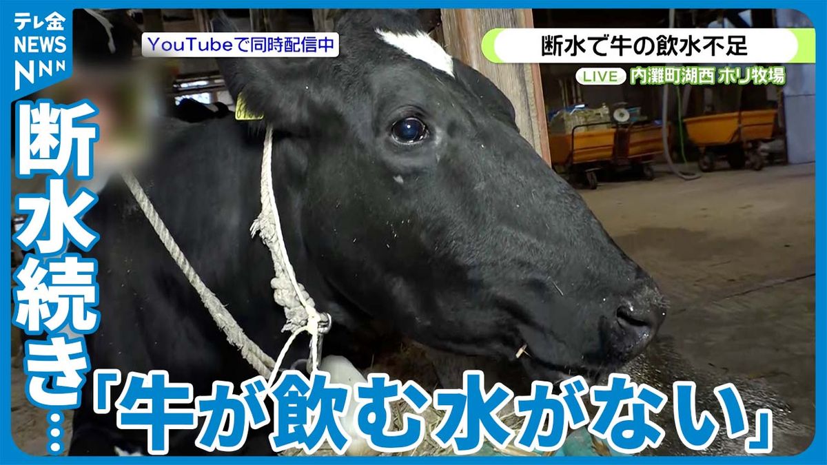 「牛が飲む水がない」断水続く中で酪農家は…石川・内灘町から中継
