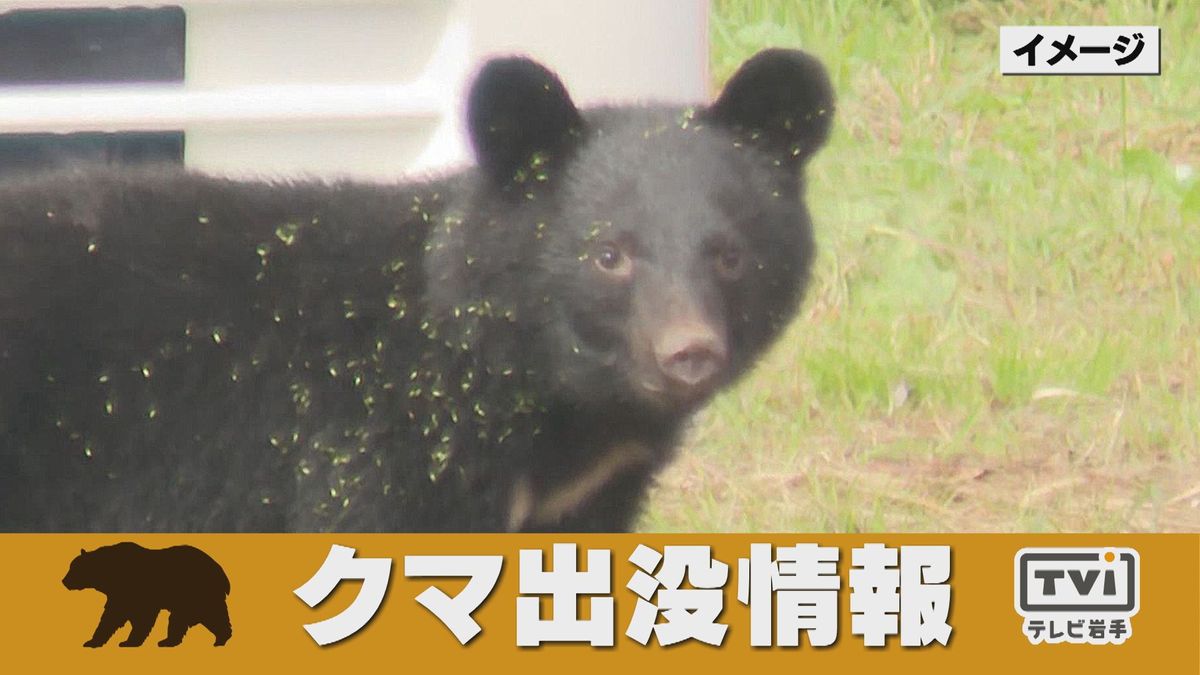 クマが民家の玄関から米袋持ち出す？玄関ドアに爪痕　住人が就寝中に玄関開けて侵入した可能性　岩手・奥州市　