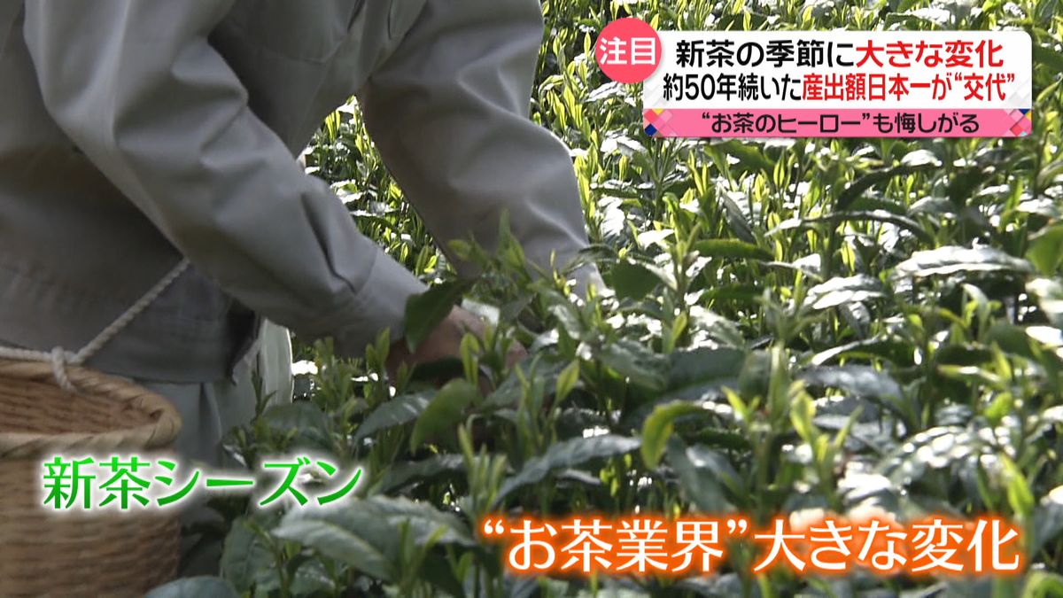 お茶業界に激震？５０年ぶりの「異変」とは