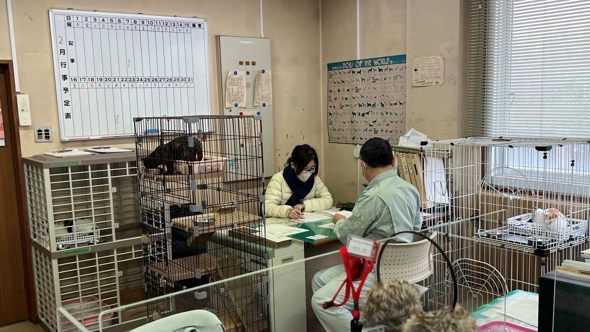 石川県南部小動物管理指導センターの様子　事務所にもケージが増えている状況