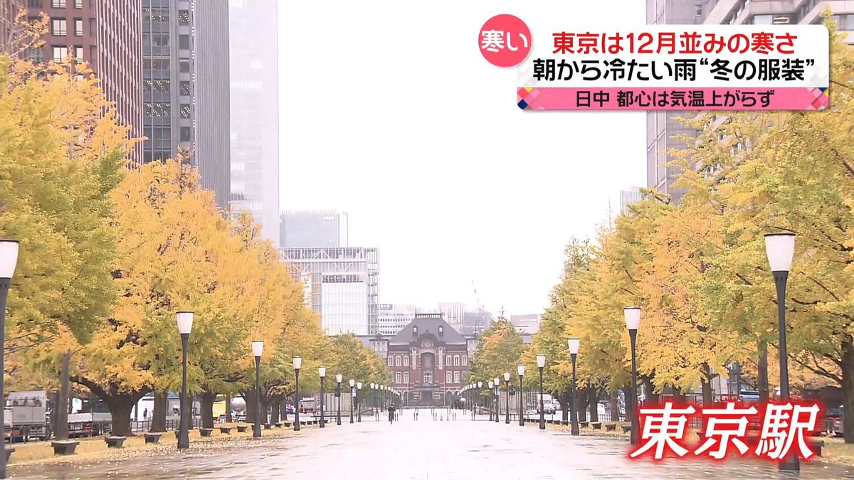 東京は“12月並み”の寒さ　冷たい雨で”冬の装い”に　紅葉が進み“落ち葉”も
