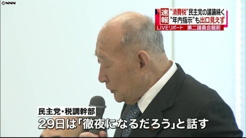 民主党　年内取りまとめ指示受け、議論続く