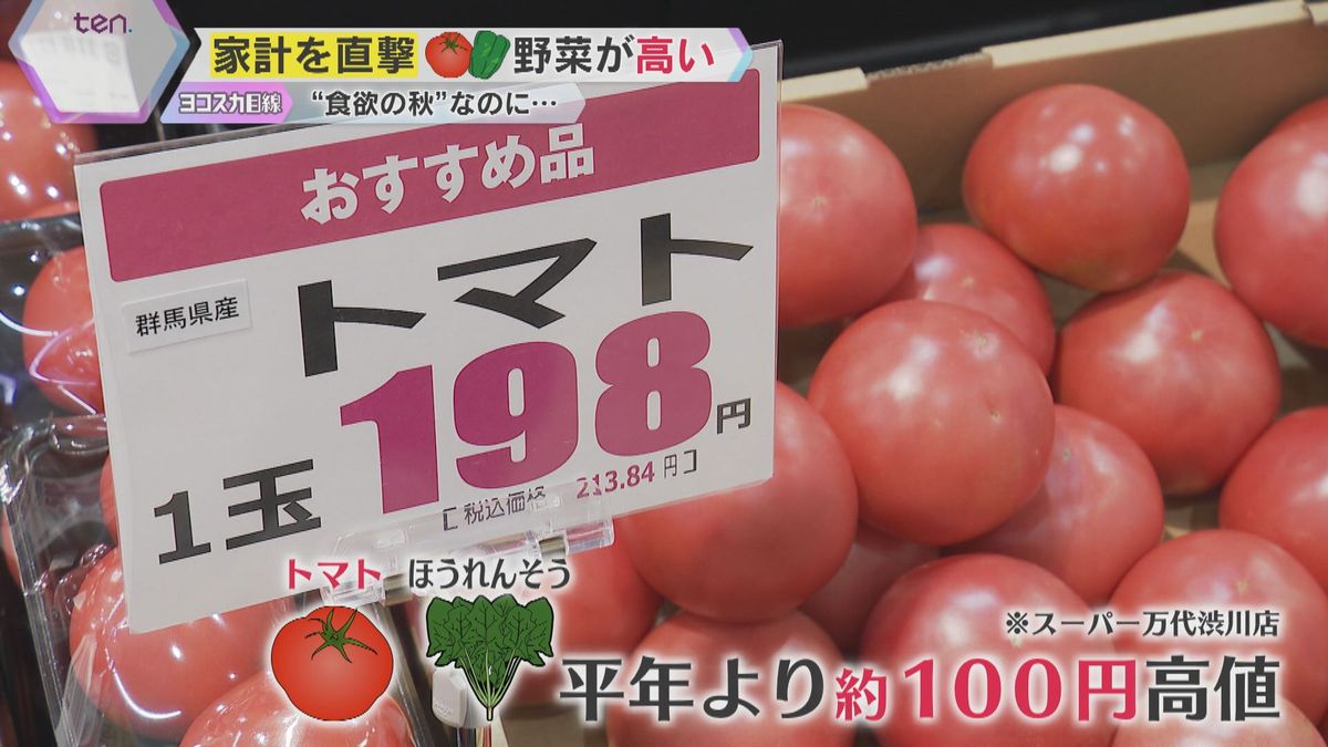 トマト、ニンジンなど食卓に欠かせない野菜が高騰　電気・ガス料金も値上げへ　物価高対策はどうなる？