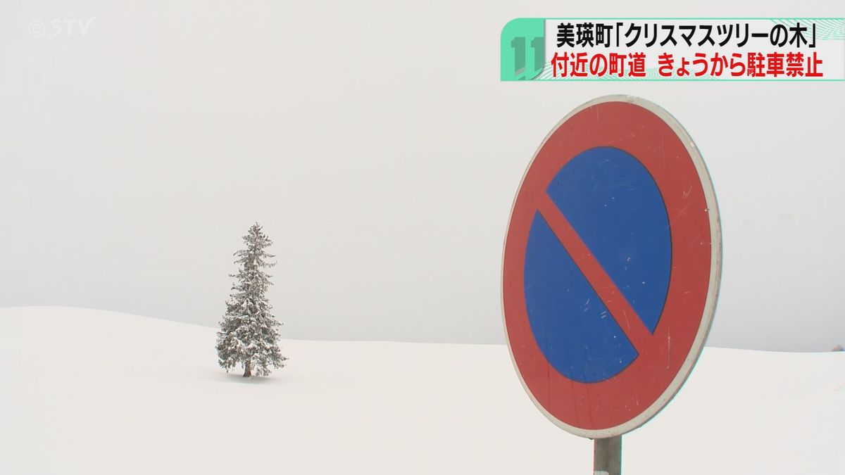 観光名所・クリスマスツリーの木　苦渋の“駐車禁止”実施「住民の生活も守りたい…」