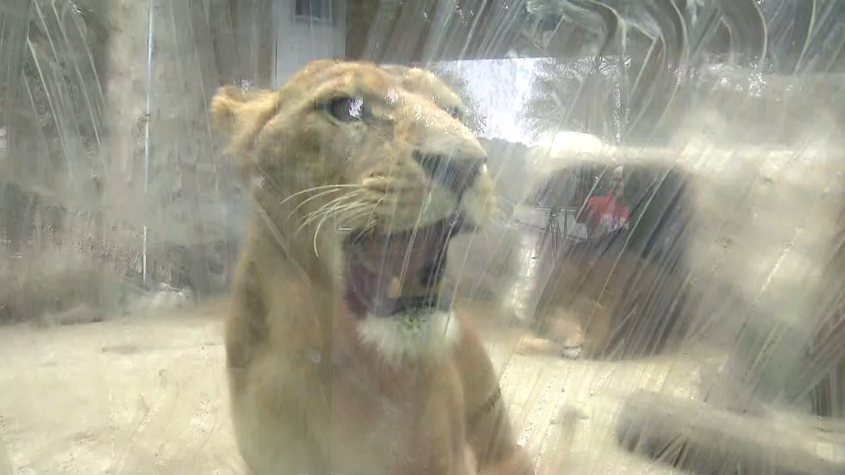 被災した動植物園が全面開園　熊本市