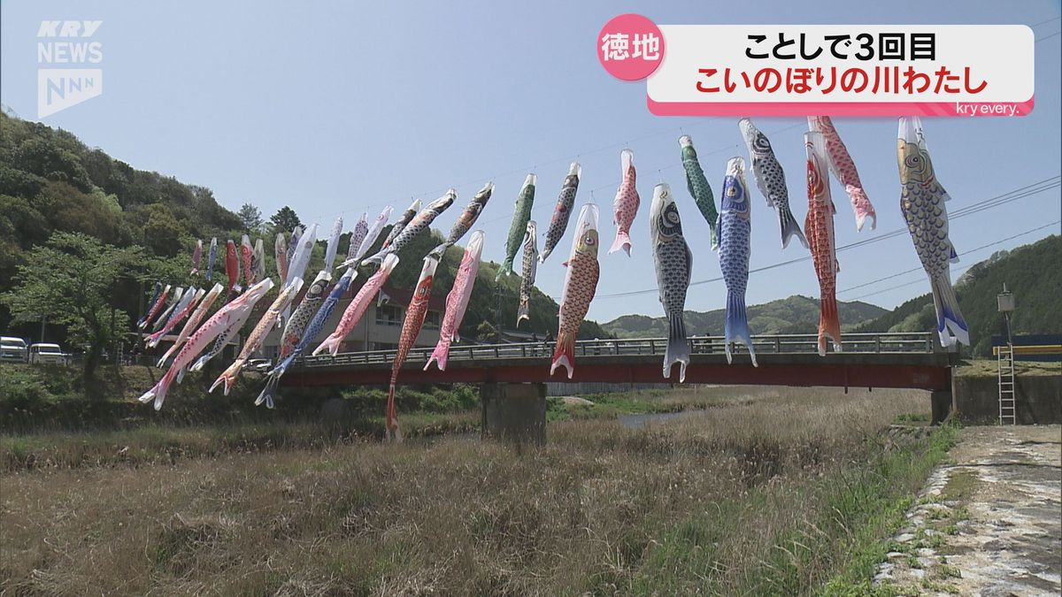 地域の子どもたちが「こいのぼりの川わたし」山口市徳地島地地区