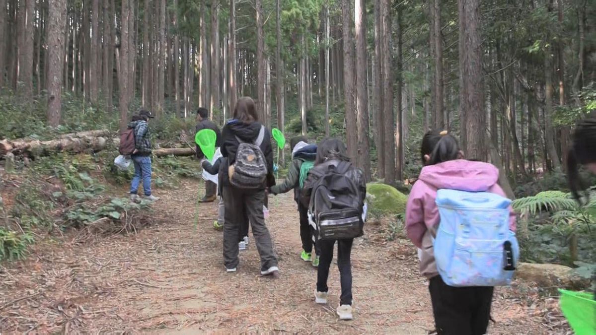 小学生が森林体験学習　市の産業の「林業」について学ぶ　三重・尾鷲市