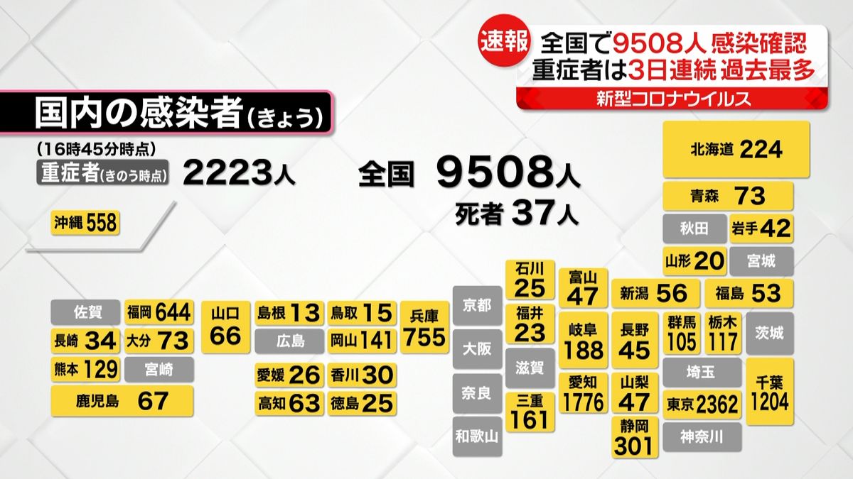 全国で９５０８人の感染確認