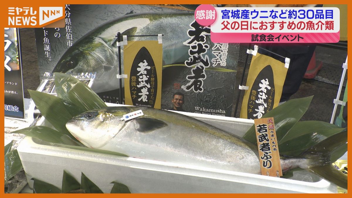6月16日は「父の日」市場のオススメはマダイ！漁獲量多く2割安く取引＜仙台市＞