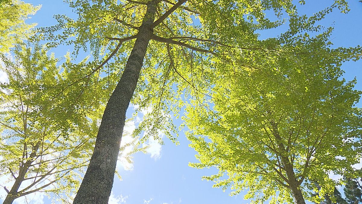 きょうは「立冬」県内は今シーズン一番の冷え込み 山里で一足早く冬の光景も